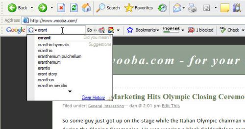 Google IE Toolbar 4